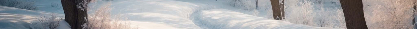 Winter Coming with Good Discounts