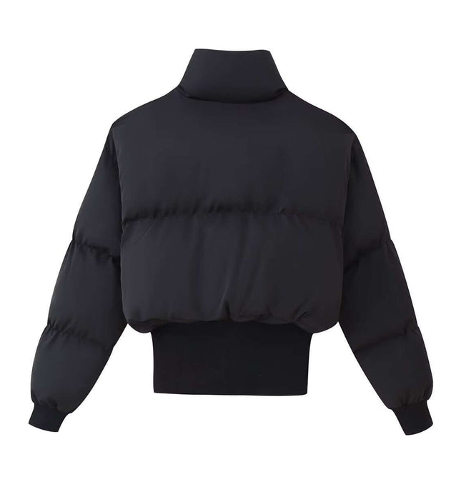 Stand Collar Zip Jacket – Casual Fit in black, showcasing a modern, cropped design and stand-up collar from the back.